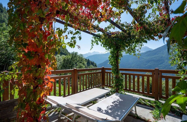 Lovely apartment for 4 people with WIFI, TV and pets allowed
