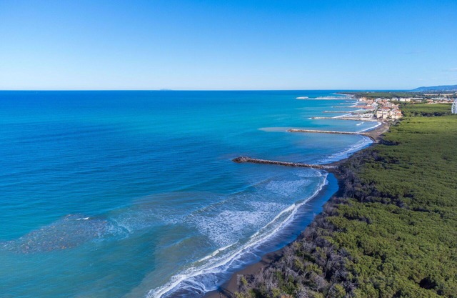 Lovely apartment for 6 guests with pool, WIFI, A/C, TV, patio and pets allowed