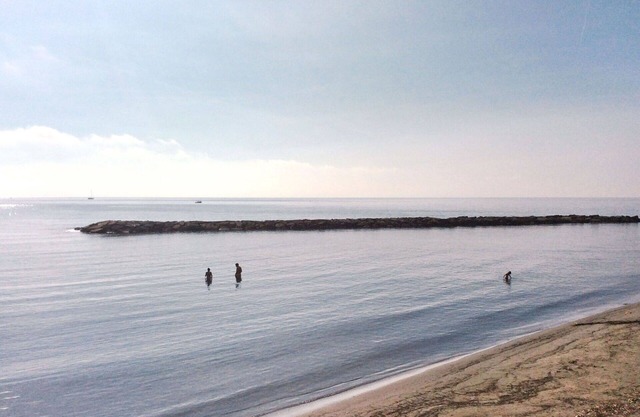 Lovely apartment for 3 guests with WIFI, balcony and pets allowed