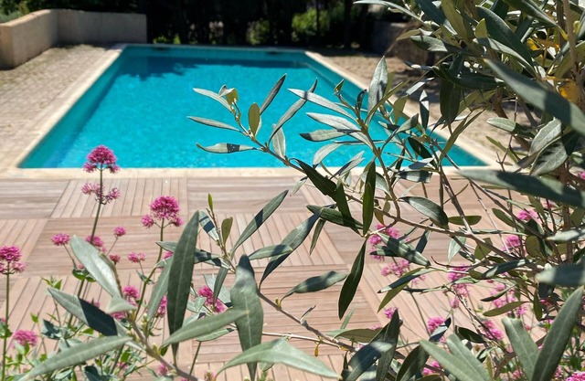 Lovely 2-room apartment in the heart of Esterel with swimming pool