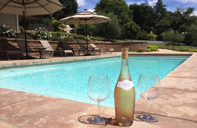 Lovely Home & Cottage with Pool, Bocce and Game Room Near Sonoma Square