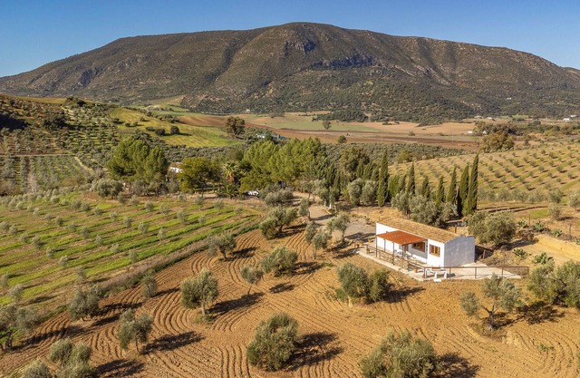 Lovely home in Algodonales with WiFi