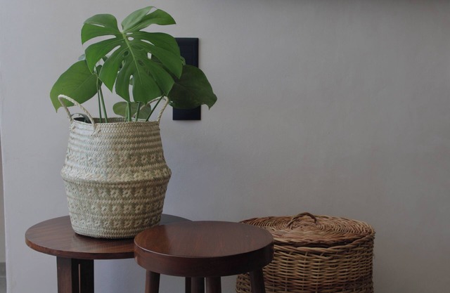 Lua Boutique Seaside Apartment