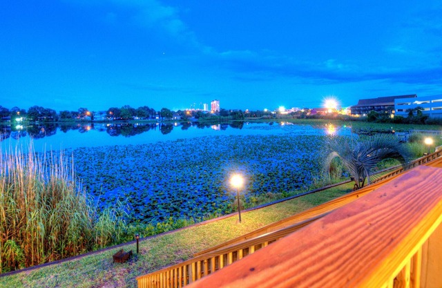 Lullwater Front Beach Condos by ZIA VR