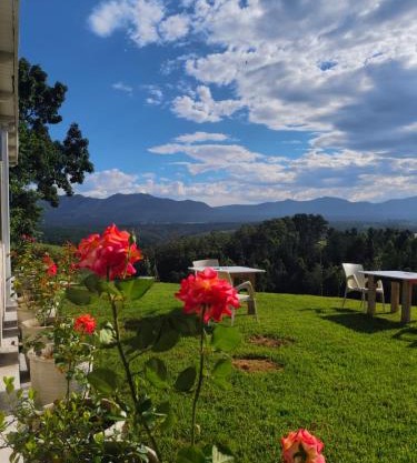 Luna Verde Farm