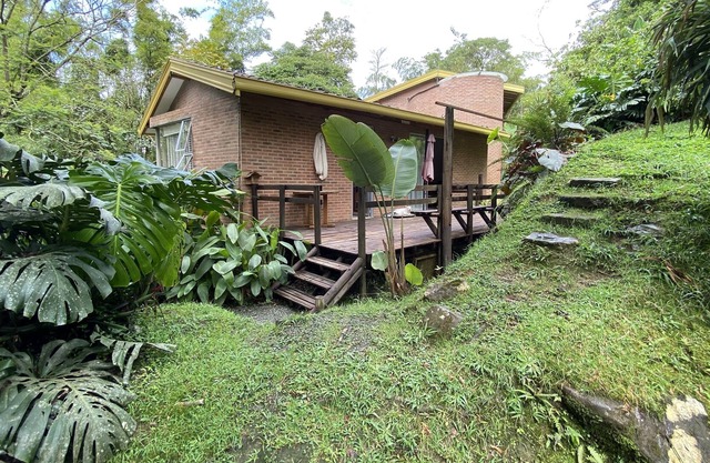 Luxe cabin in rainforests