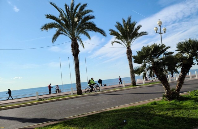 Luxurious apartment, wifi, air conditioning, 50M from the beach