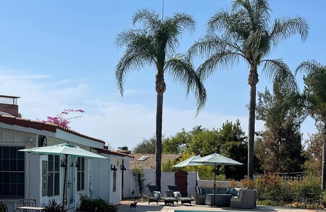 Luxury Airstream Glamping at Winery