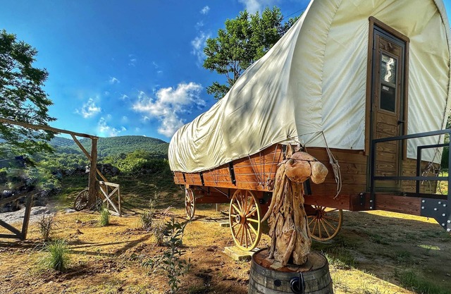 Luxury Covered Wagon ,Winery with mountain and vineyard view
