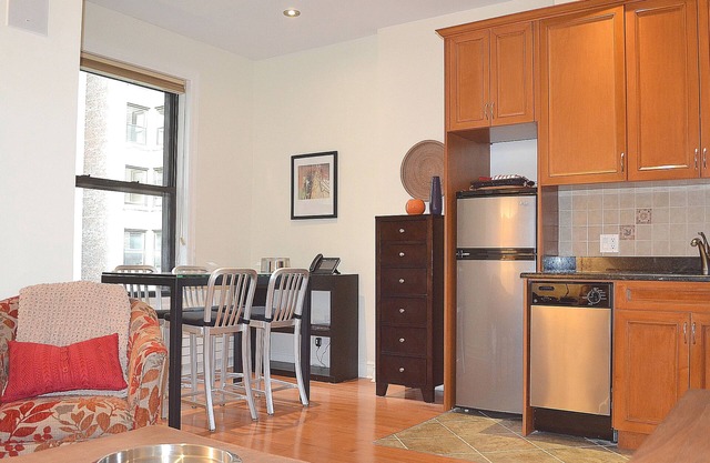 Luxury Furnished 1BR with Deck & Washer/Dryer SPECIAL DISCOUNT FOR LONG TERM