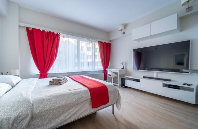 Luxury Studio In the EU Area