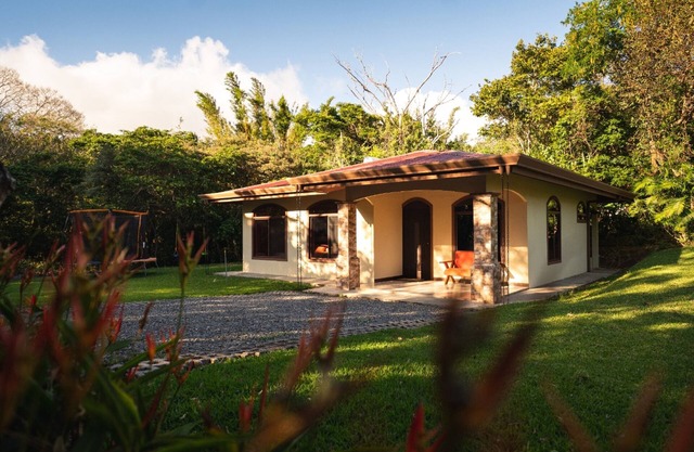 Macadamia - Monteverde