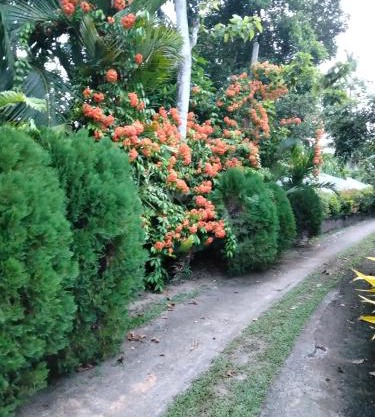 Madoldu eco resort