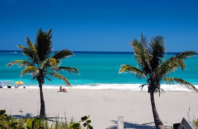 Magical 10+ Acre Waterfront Nature Retreat. Near Beaches, Bars and Restaurants.