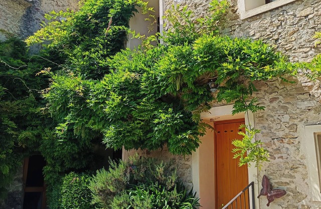 Magnanerie Provençale