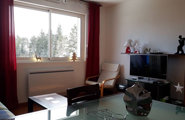 Magnificent Duplex T4 near Font-Romeu Pyrénées 2000 resort