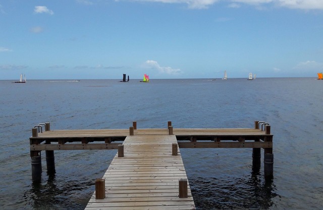 Magnificent T2 Beachfront, pontoon access to the sea, small garden.
