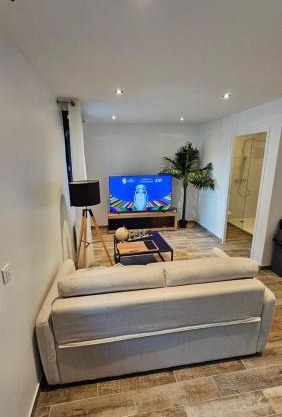 Magnifique appartement à Bezons