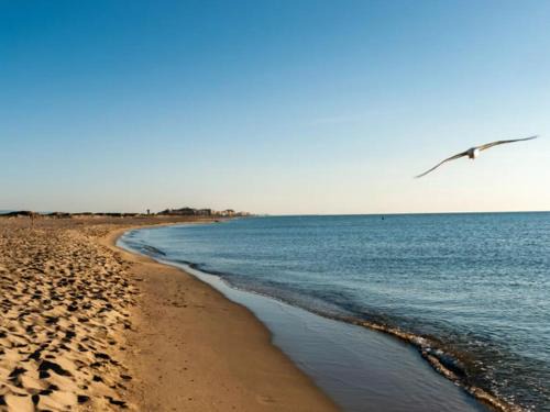 Maison 3* à Canet-Plage, 600m de la plage, climatisée, terrasse, 6 couchages, Wi-Fi - FR-1-748-13