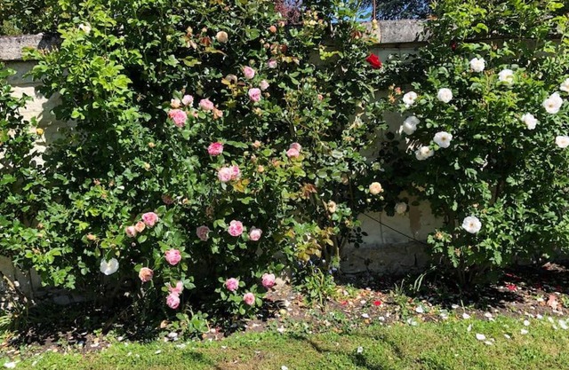 Maison au bord de l’Indre, Beaulieu-les- loches