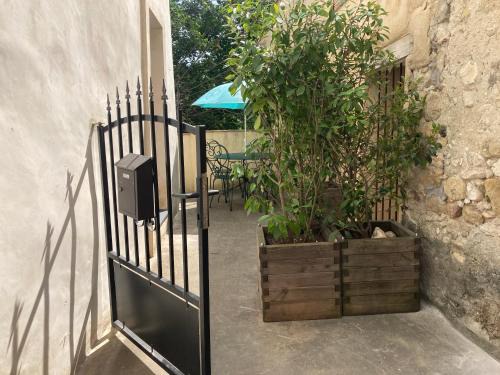 Maison bord de rivière