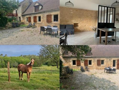 Maison chaleureuse à la campagne