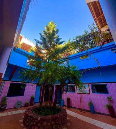 Maison d'hôte Riad Todra