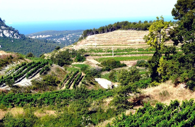 Maison de Maître à Bandol, Cakme et Confort 4