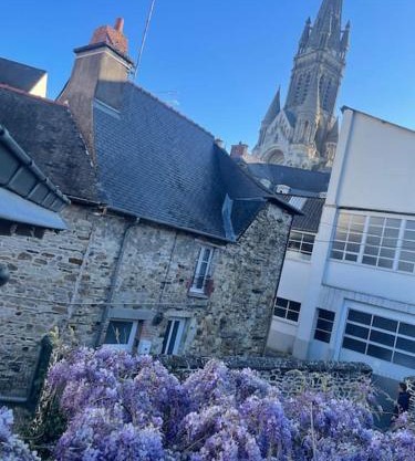 Maison de ville- quartier calme