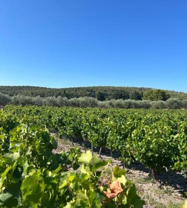 Maison Sud entre mer et vignes