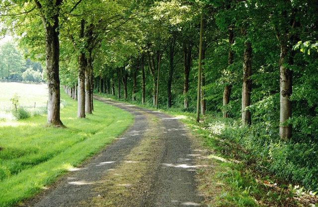 MAISON LA DELAIRIE "Calm in the countryside
