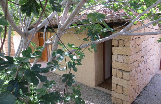 Maisonette 35m² 2-4 pers - Swimming pool - South Corsica - Near sea