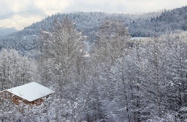 Maisonette with terrace and view in the Vosges! Close to the ski slopes