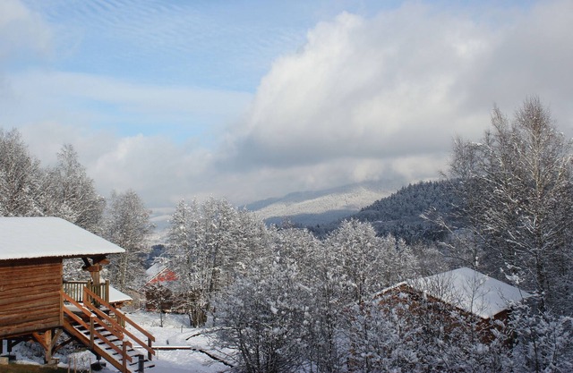 Maisonette with terrace and panoramic view in the Vosges!