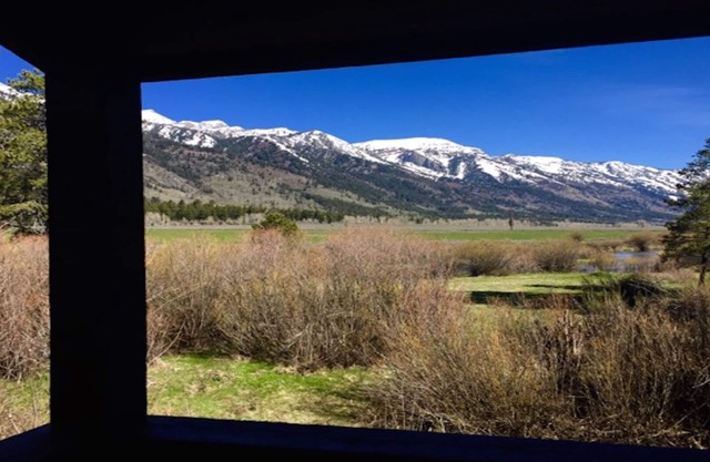 Majestic Teton Views.