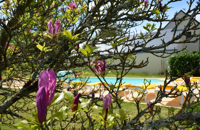 Manoir Du Parc - Adults Only