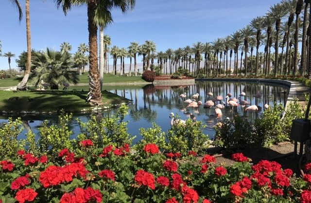 Marriott's Desert Springs Villas: Studio A