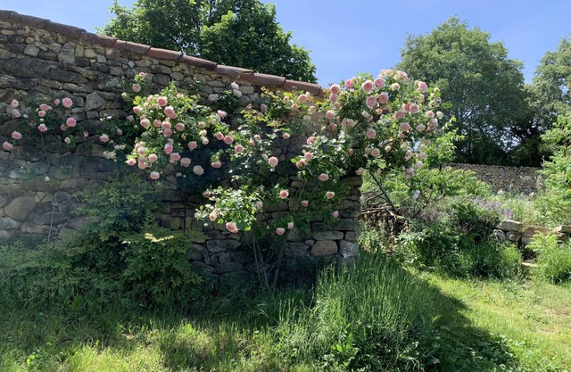 Mas en Provence Entièrement Rénové Pour des Vacances Familiales de Rêve