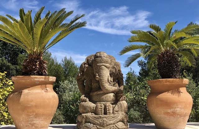 Mas Provençal With Sea View Swimming Pool (Boat Option - July only)