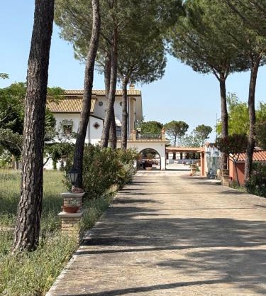Masseria I Pini