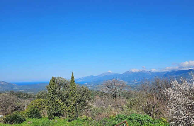 Master bedroom with living room