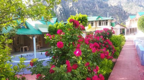Mateura resort