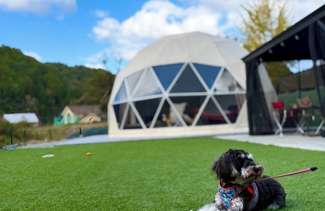 Meals included Small dogs allowed Hot spring t/Sanda City Hyōgo