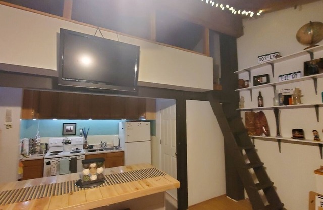 Mendenhall Glacier Bear Den