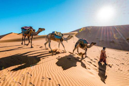merzouga desert camp