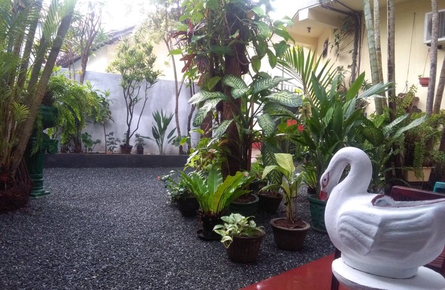 Mia's Villa