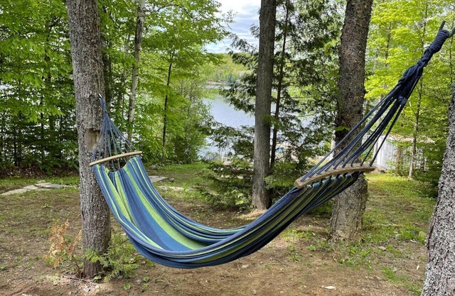 Mika Gruevski Draft Listing