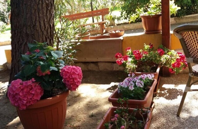 MIMOSA A Three-room detached house in the Villa Carla Residence for realiz