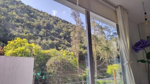 Mirador samsara Suite vista al bosque 25 mt2