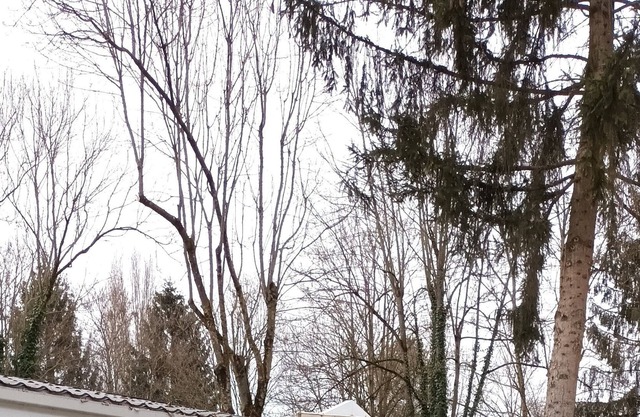 Mobile home near Europa Park & Rulantica